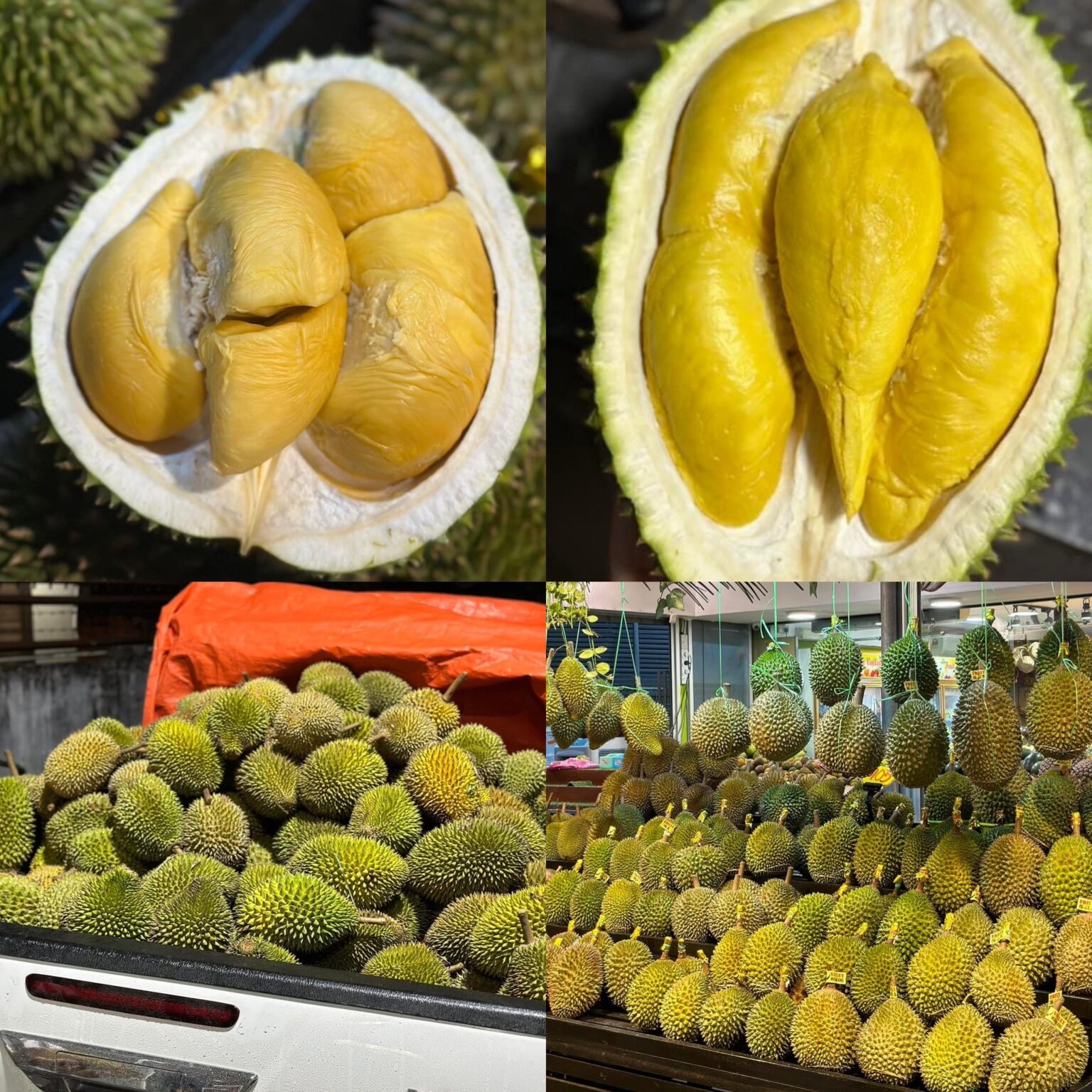 Musang King Durians Arrival In Miri City Miri City Sharing