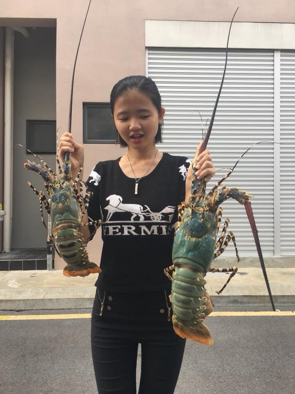 Lobster Dishes Found In Lavender Cafe At Marina Miri Miri City Sharing